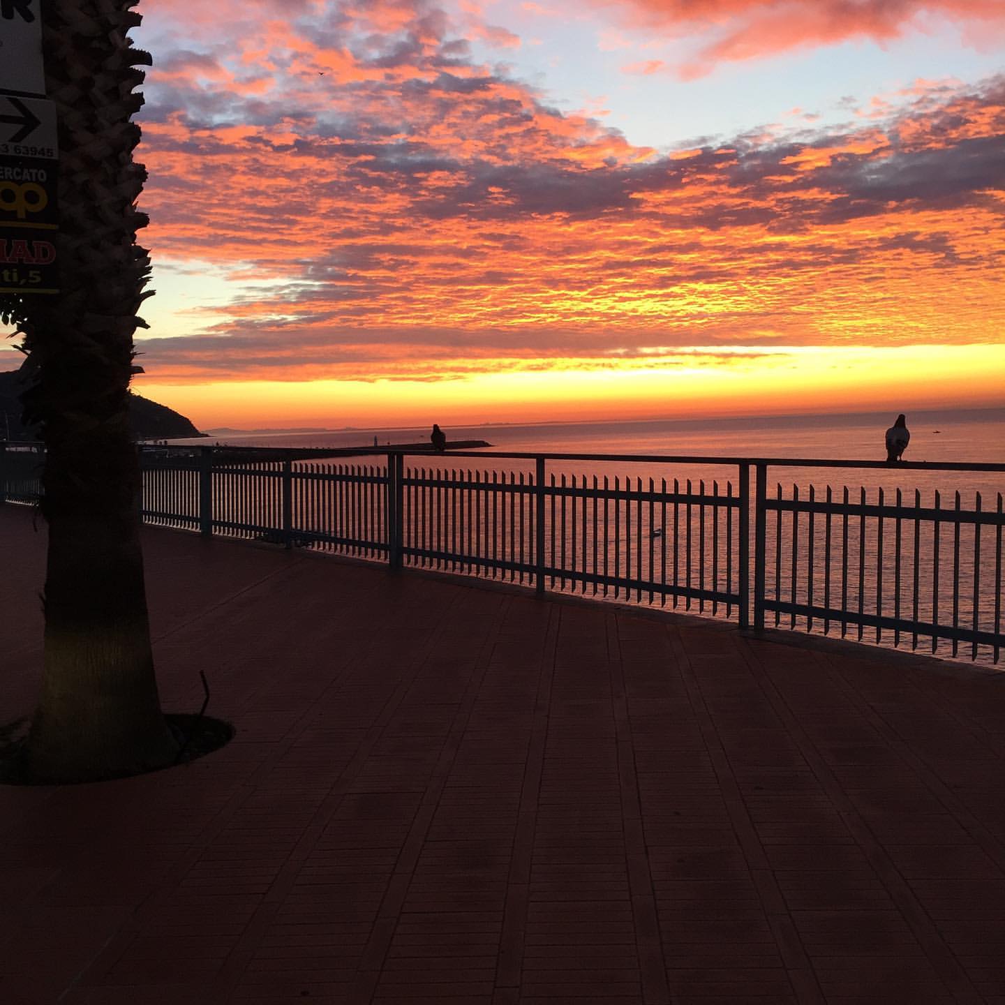 Vibrant and Colorful Art Competition